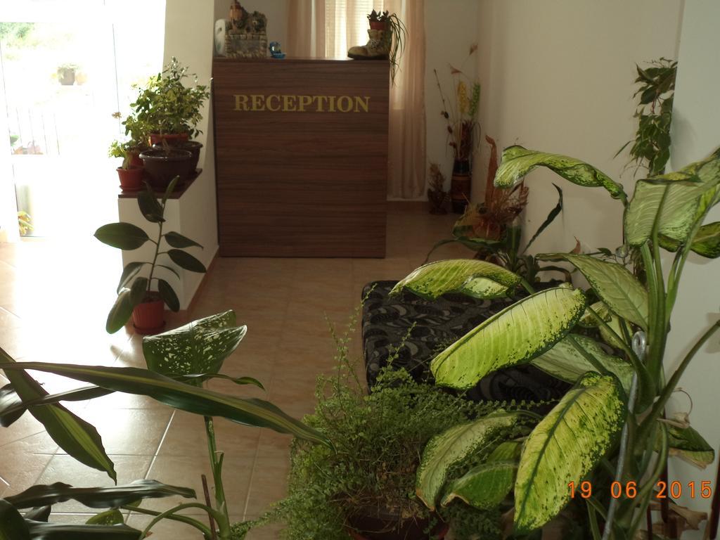Sveti Georgi Guest House Sozopol Zewnętrze zdjęcie